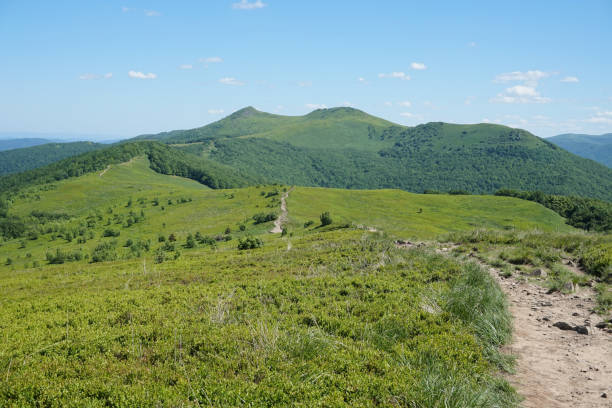 istock Bieszczady Mountains in Poland 980272952
