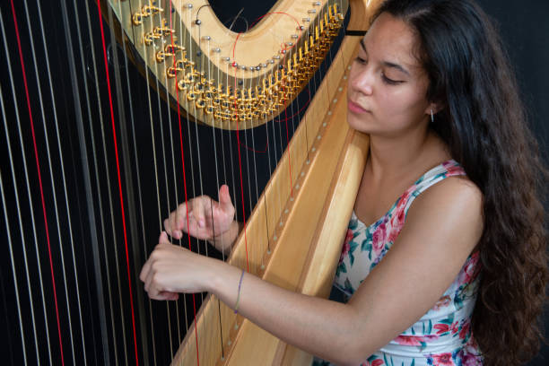 zbliżenie pięknej dziewczyny z długimi brązowymi włosami grającymi na harfie. szczegóły kobiety grającej na harfie - plucking an instrument zdjęcia i obrazy z banku zdjęć