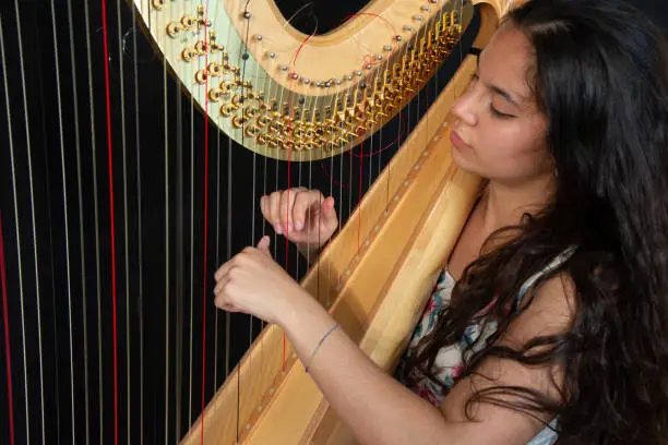 beautiful girl with long brown hair, who plays the harp in a studio.