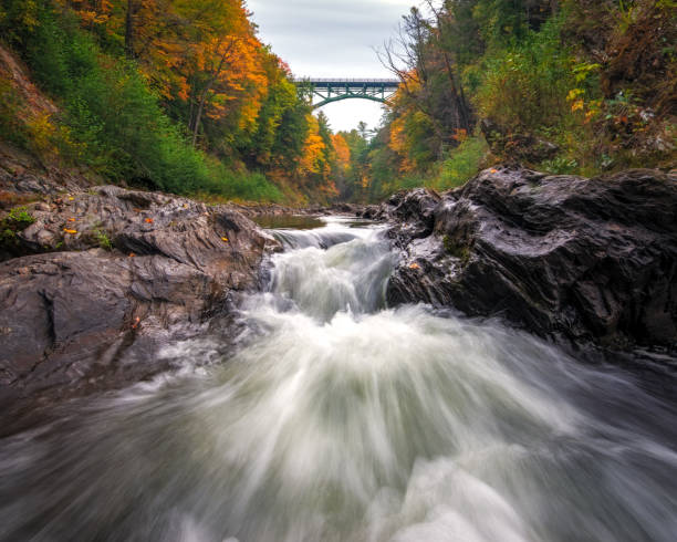 istock Autumn in Vermont 980278706