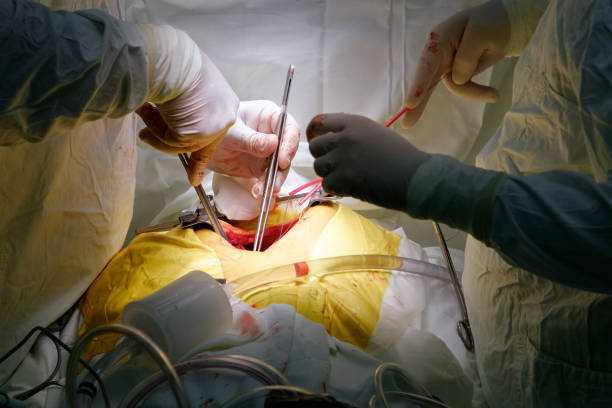 Free Stock Photo of Surgeon operating | Download Free Images and Free ...