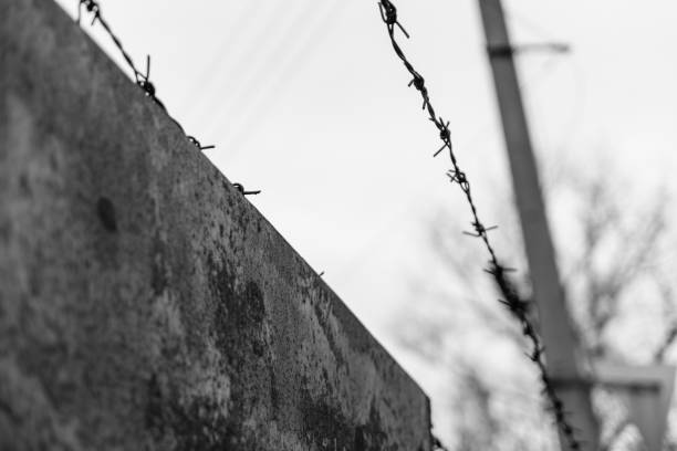 istock Barbed wire against the sky on cloudy day 980294764