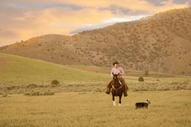 istock Cowboy on horse, dust. Real people. With dog 980297044