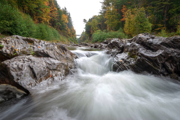 istock Autumn in Vermont 980299662
