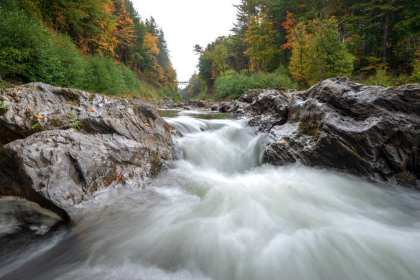 istock Autumn in Vermont 980299674