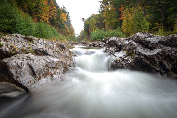 istock Autumn in Vermont 980299728
