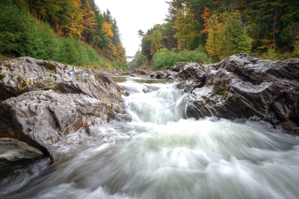 istock Autumn in Vermont 980299864