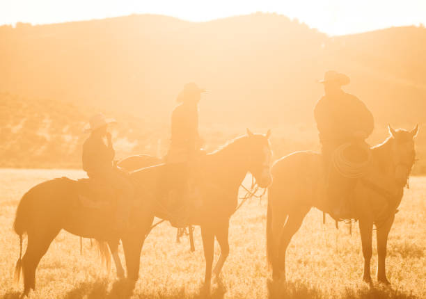 istock Cowboys on horses in sunset 980300014