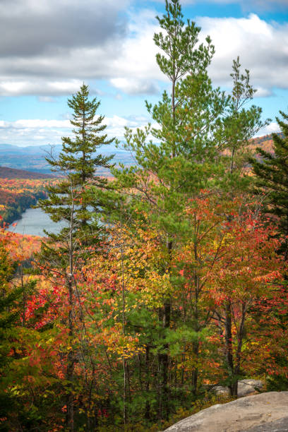 istock Autumn in Vermont 980300598