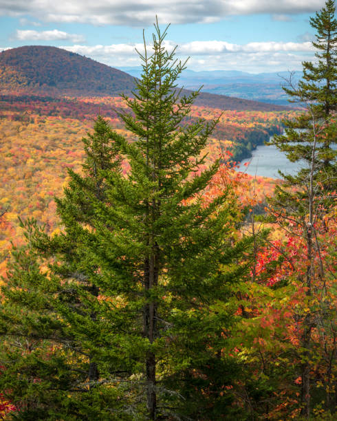 istock Autumn in Vermont 980300600