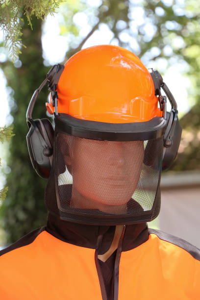 istock Lumberjack safety gear helmet 980300724