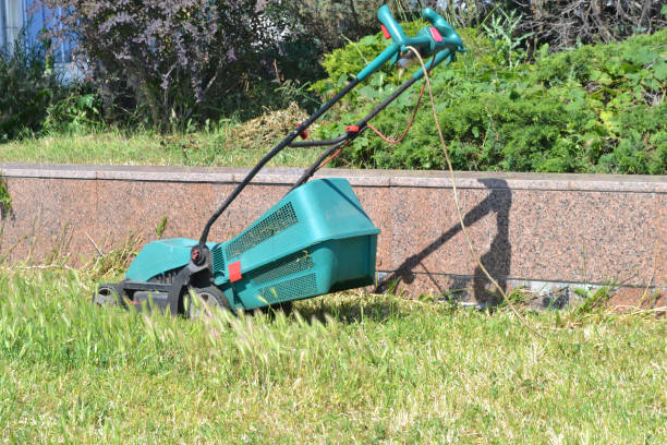 istock Lawn mower on the lawn. 980303284