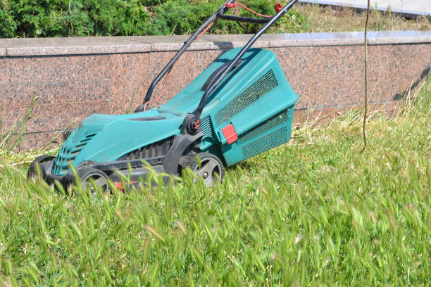 istock Lawn mower on the lawn. 980303356
