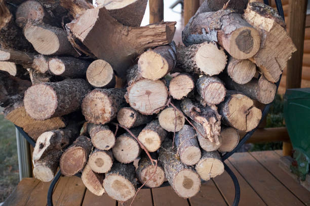 istock Supply of cut dried wood logs on a deck 980303774