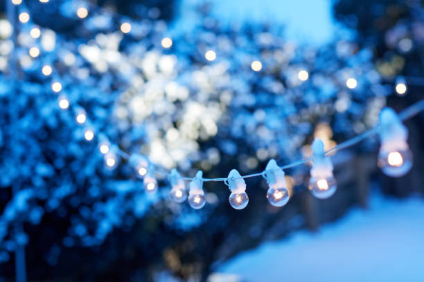 istock Party lights strung across a winter garden 980304286