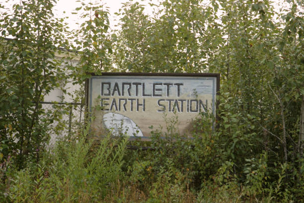 istock Overgrown sign for the Bartlett Earth Station 980304606