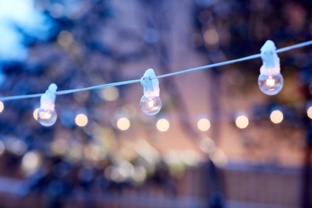 istock Glowing party lights at sunset outdoors in trees 980304692