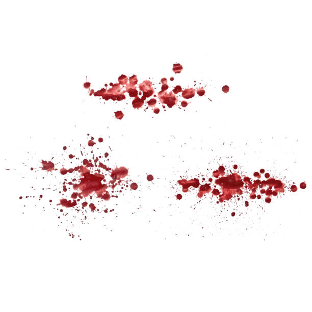 Grunge paint stains set. Paint splatter or drops. Grunge ink paint splats, blots and splashes. Paint Spray or liquid. Vector easy to edit. vector blood stain stock illustrations