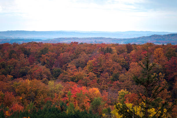 istock Autumn in Northern Michigan 980307584