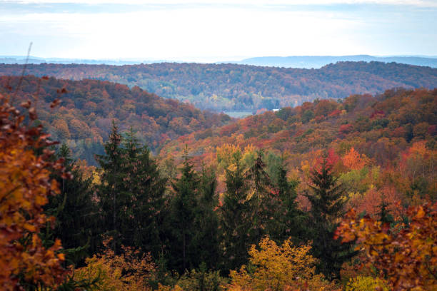 istock Autumn in Northern Michigan 980307600