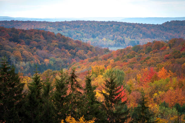 istock Autumn in Northern Michigan 980307928