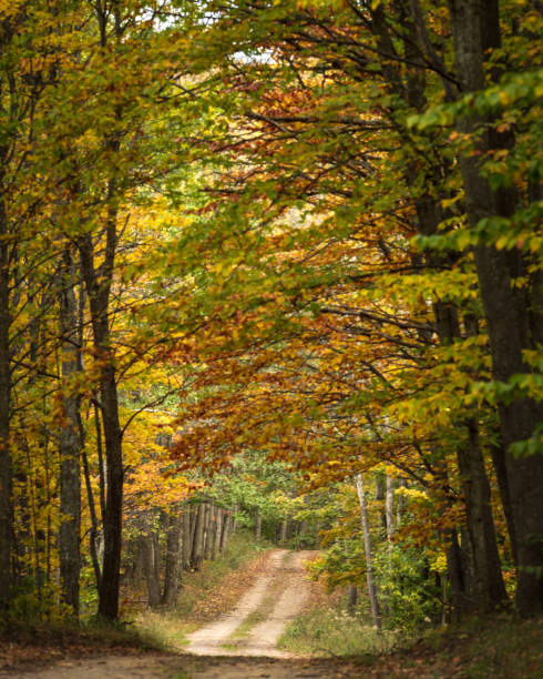 istock Autumn in Northern Michigan 980308070