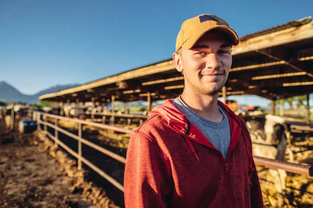 Portrait of Young dairy farmer  prepping his  cows for milking at this family’s dairy farm outside Salt Lake City in   Utah, USA.