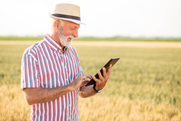 smiling senior agronomist or farmer using a tablet in a wheat field - photography gray hair farmer professional occupation imagens e fotografias de stock