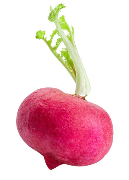 istock Red radish isolated on white background with clipping path 980313384