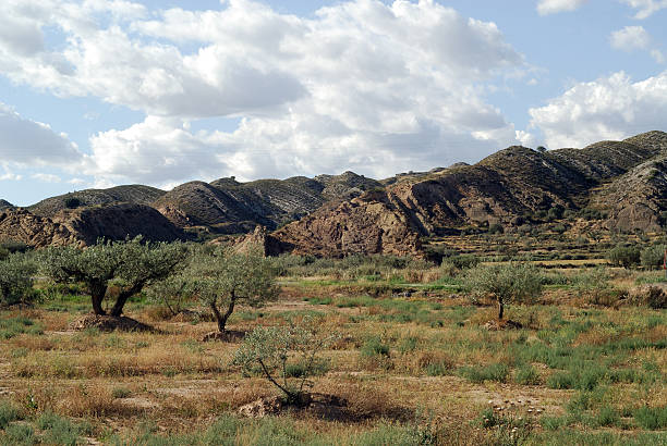 istock Landscape at summer between Aragon and Catalonia 98031500