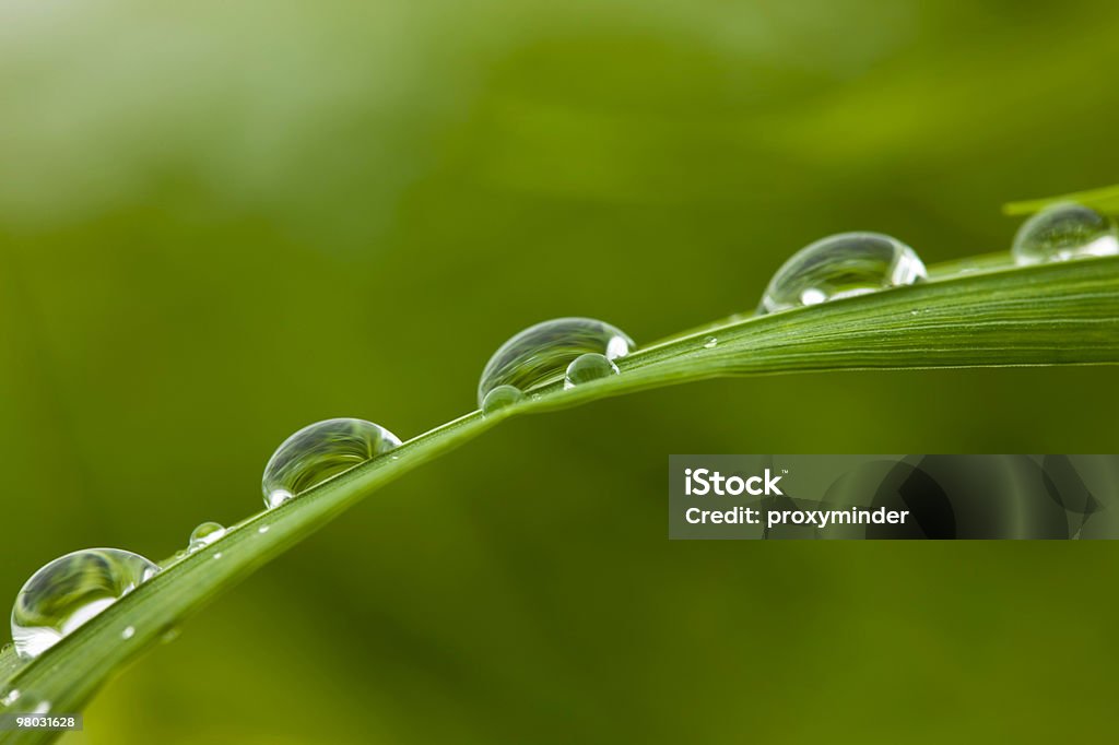 Gouttes d'eau - Photo de Climat libre de droits