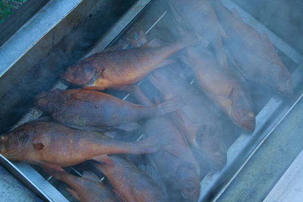 Fish smoking in smokehouse Fish smoking in smokehoude. Hot fish with steam golden tench stock pictures, royalty-free photos & images