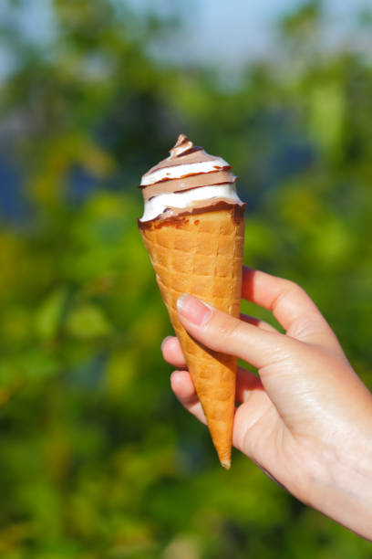 istock Ice cream cone, chocolate ice cream on blurred background, milk dessert on summer vacation, blank for designer, copy space, milk product 980316470