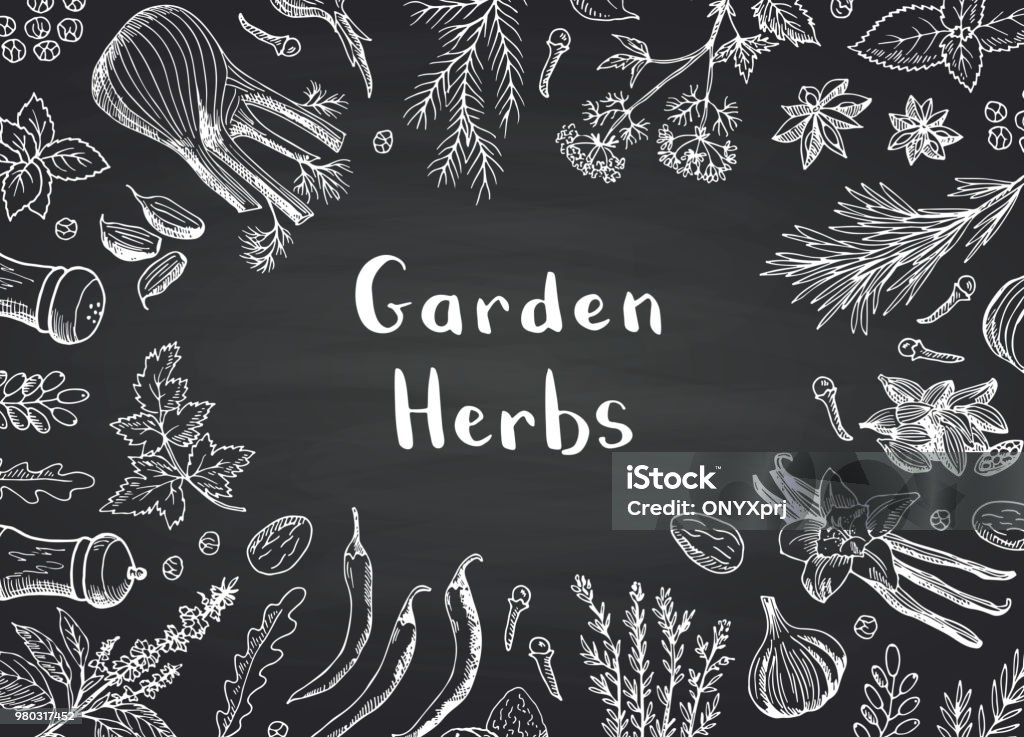 Vector hand drawn herbs and spices on black chalkboard background with place for text illustration Vector hand drawn herbs and spices on black chalkboard background with place for text illustration. Organic spice white on blackboard, sketch leaf drawing Food stock vector