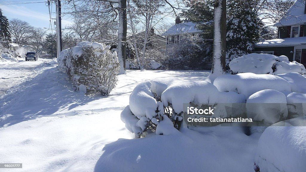 Snow on trees and street in suburbs  Blue Stock Photo