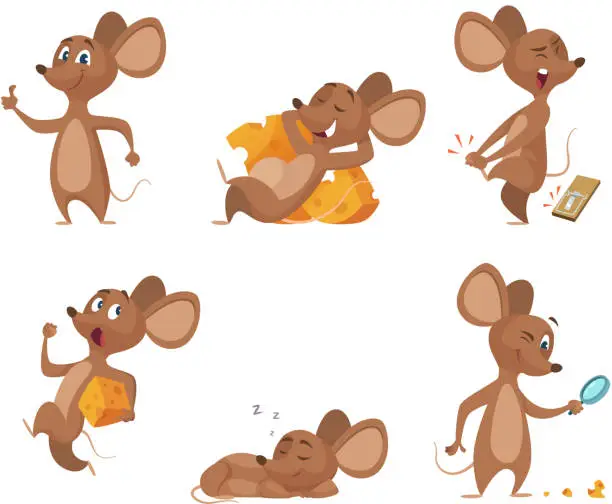 Vector illustration of Various characters of mice in action poses