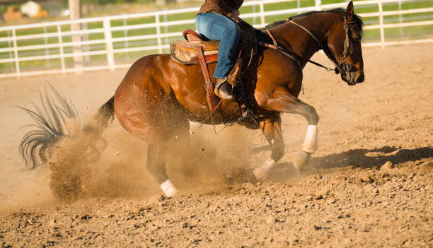 istock Rodeo cowboy and horse action 980374536