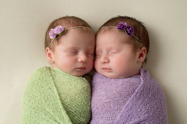 colpo alla testa di fraterne ragazze gemelle appena 19 - twin newborn baby baby girls foto e immagini stock