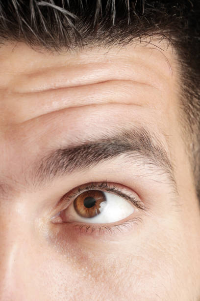 istock Close up view of a brown man eye looking at camera 980383750