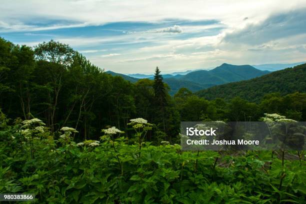 Late Evening Blue Ridge Mountains Stock Photo - Download Image Now - Appalachia, Appalachian Mountains, Beauty In Nature