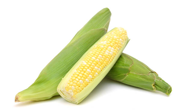 istock fresh corn fruits with green leaves isolated on white background 980386676