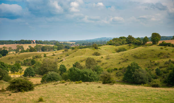 istock Rolling landscape in southern Sweden 980390324