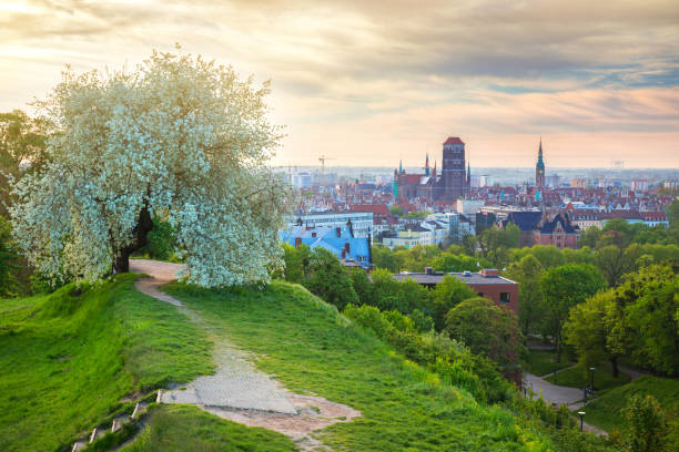 istock Idyllic scenery in Gdansk at sunrise 980400994