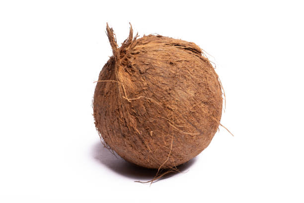 istock One big brown whole coconut close up copy space isolated on white background 980408980
