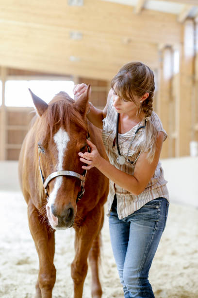 istock veterinarian with horse 980411548