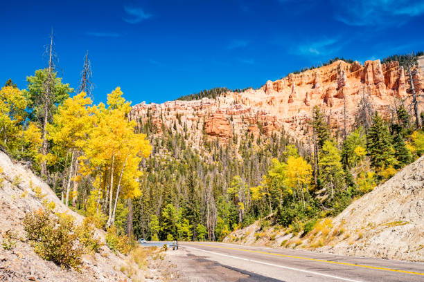 istock Aspen trees in Cedar Breaks National Monument in Utah USA 980416896