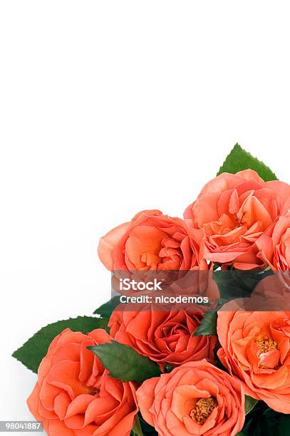Rose Rosse - Fotografie stock e altre immagini di Bouquet - Bouquet, Capolino, Composizione verticale