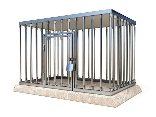 Photo of Metal cage with lock side view 3D