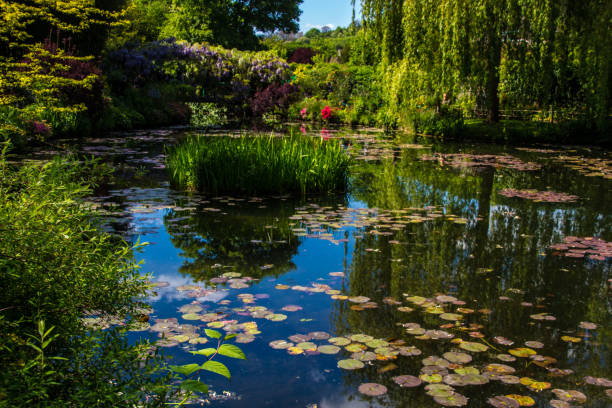 Monet's Home in France The Lilly Pond giverny stock pictures, royalty-free photos & images