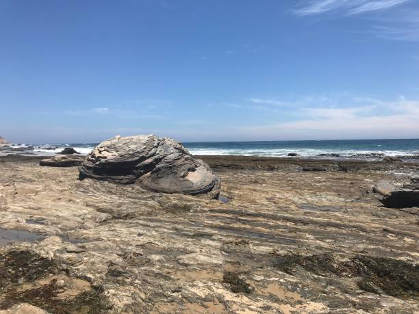 istock Ocean shore beach, surf and rocks 980427626